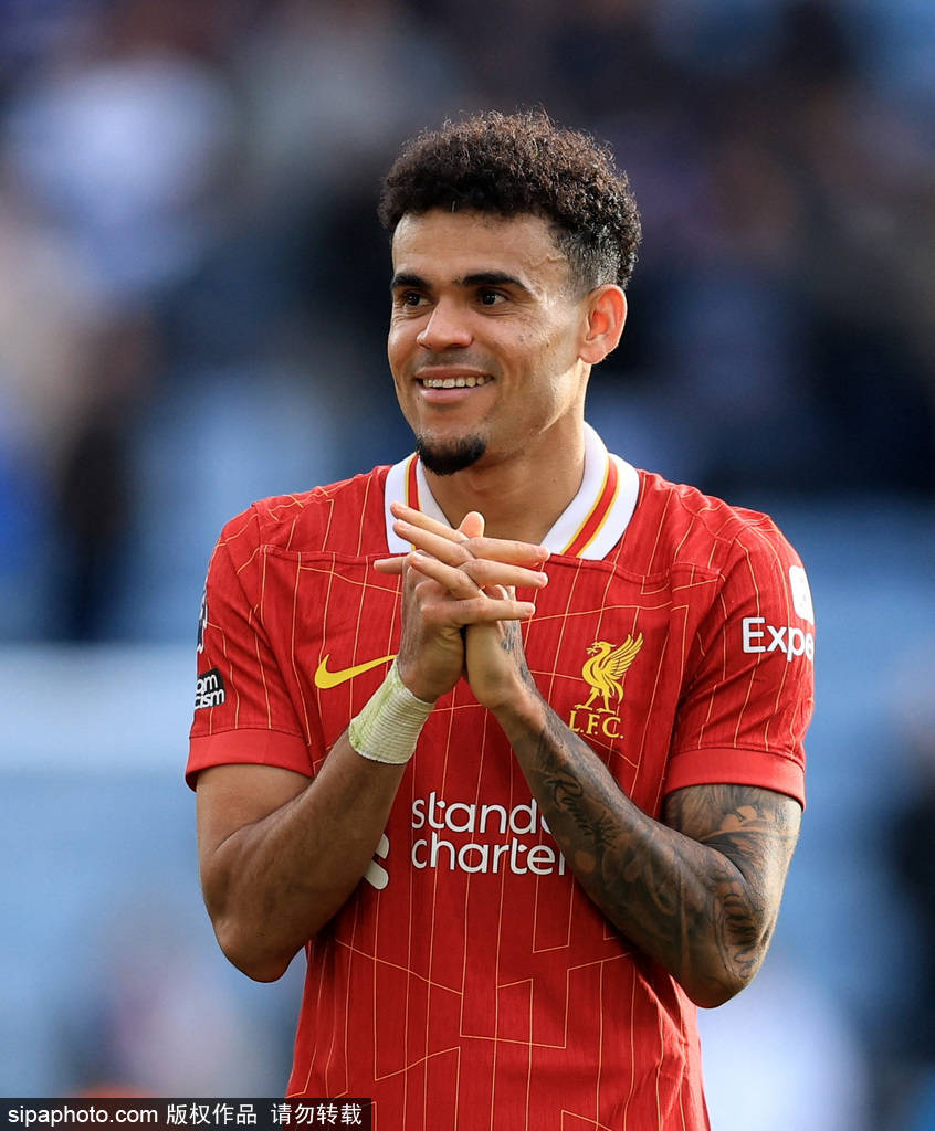 数据显示 数据显示